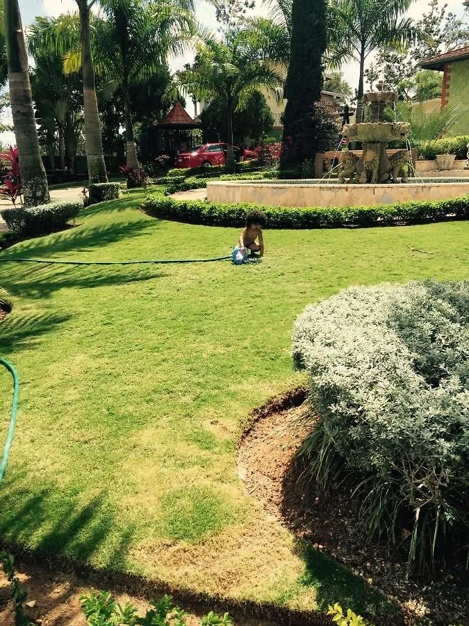 Hidden Oasis In Mandeville Jamaica location
